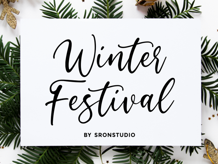 Winter Festival Font poster