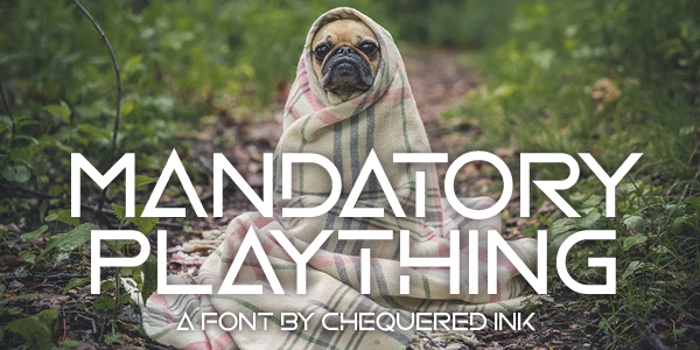 Mandatory Plaything Font poster