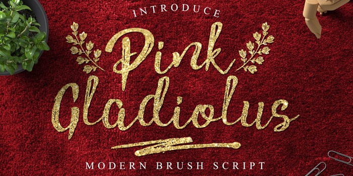 Pink Gladiolus Font poster