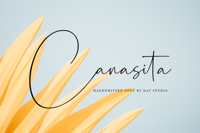 Canasita Font poster