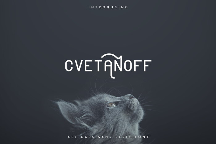 CVETANOFF SANS SERIF FONT poster