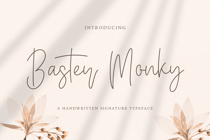 Baster Monky Font poster