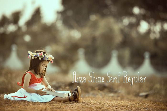 Aiza Shine Serif Font poster