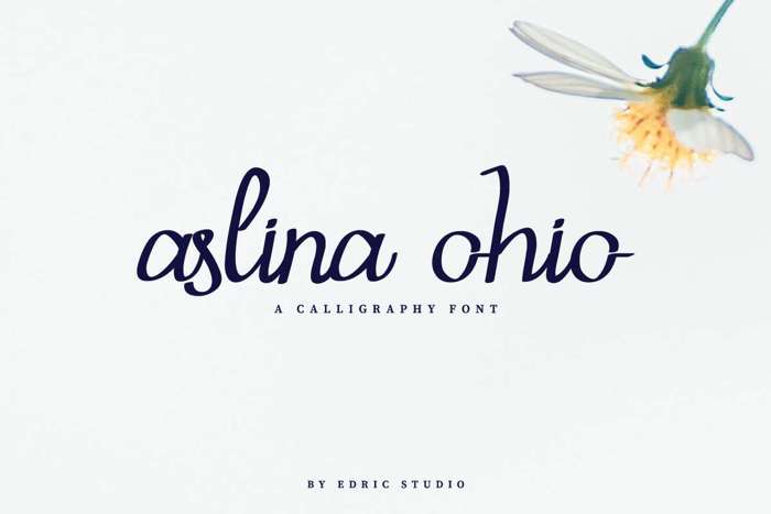Aslina Ohio Font poster