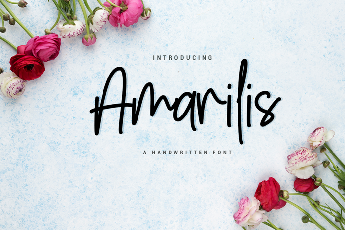 Amarilis Script Font poster