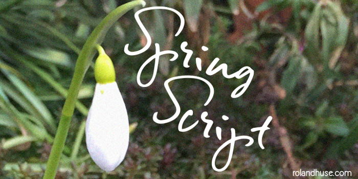 Spring Script Font poster