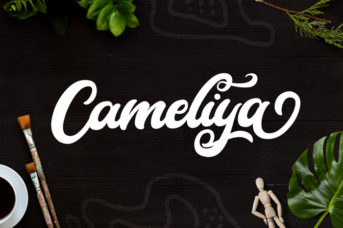Cameliya Font poster