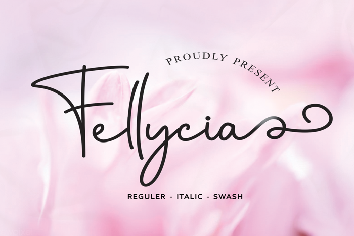 Fellycia poster