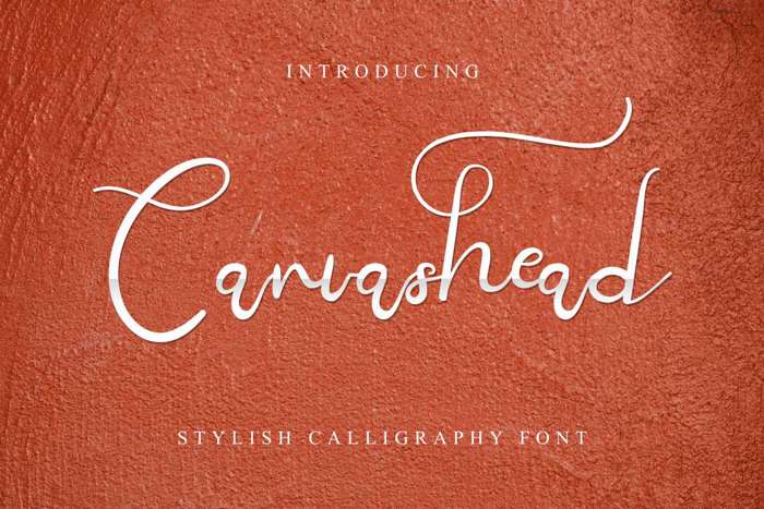 Canvashead Font poster