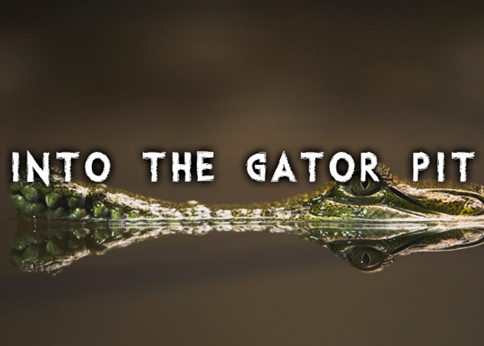 Into the Gator Pit Font poster