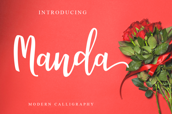 Manda Font poster