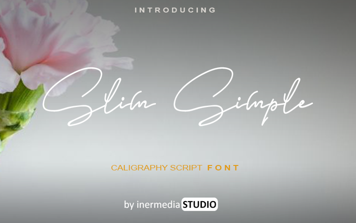Slim Simple Font poster