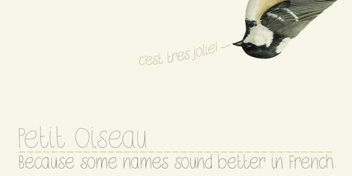 DK Petit Oiseau Font poster