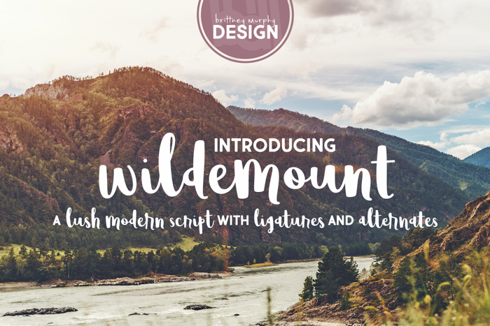 Wildemount Font poster