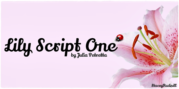 Lily Script One Font poster