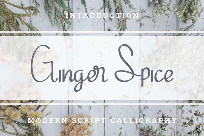 Ginger Spice Font poster