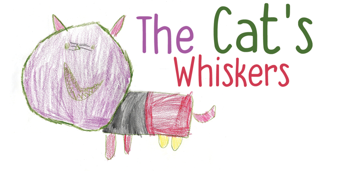 DK The Cats Whiskers Font poster
