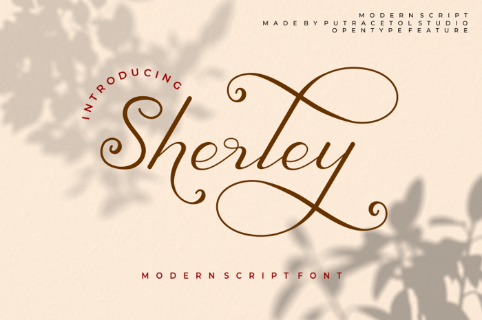 Sherley Font poster