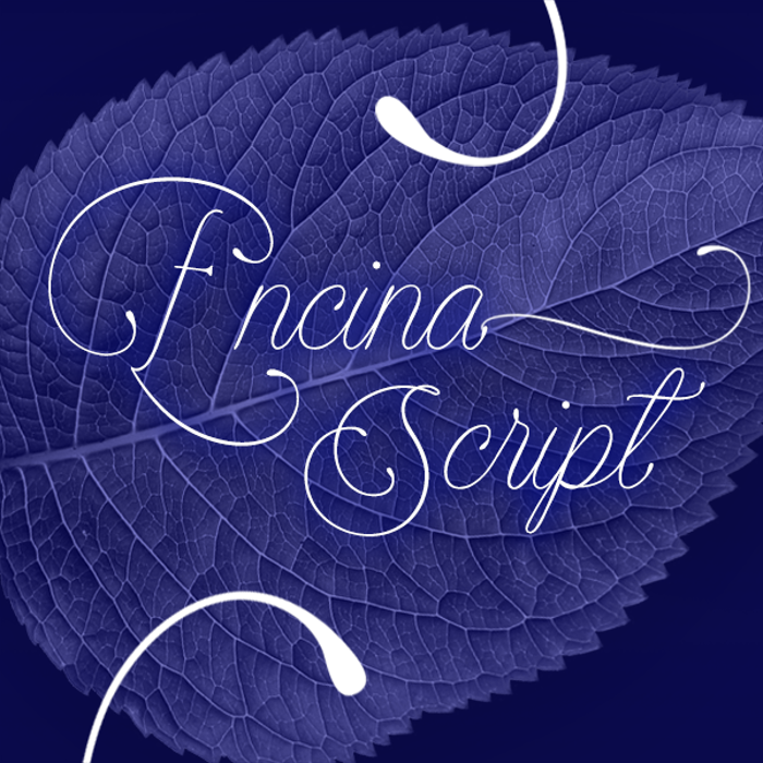 Encina Script Font poster