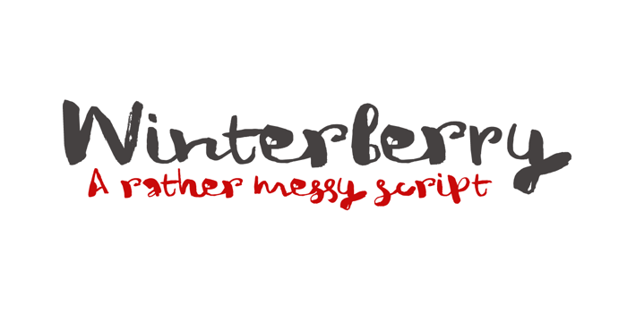 DK Winterberry Font poster