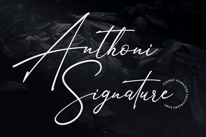 Anthoni Signature Font poster
