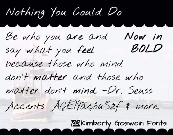 Nothing You Could Do Font poster