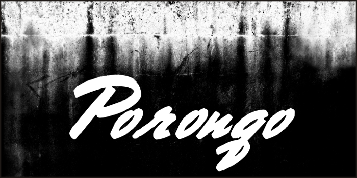 Porongo Font poster