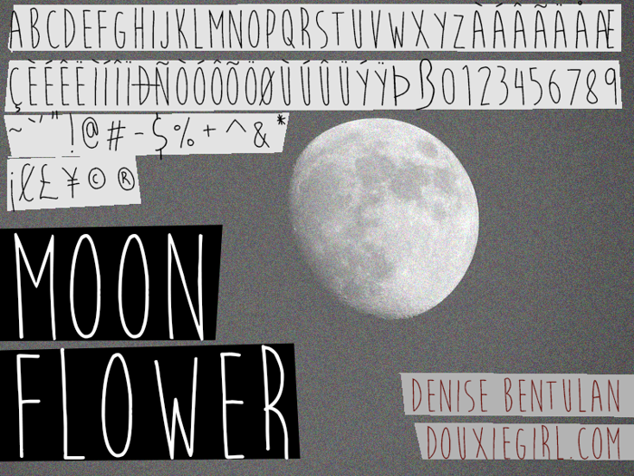 Moon Flower Font poster