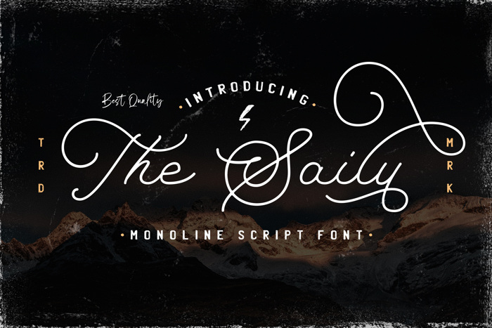 The Saily Font poster