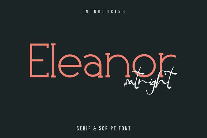 Eleanor Satnight Font poster