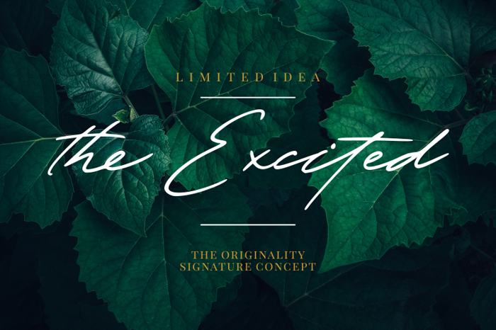 The Excited Font