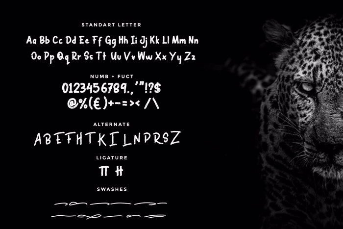 BLACK BRUTAL Font poster