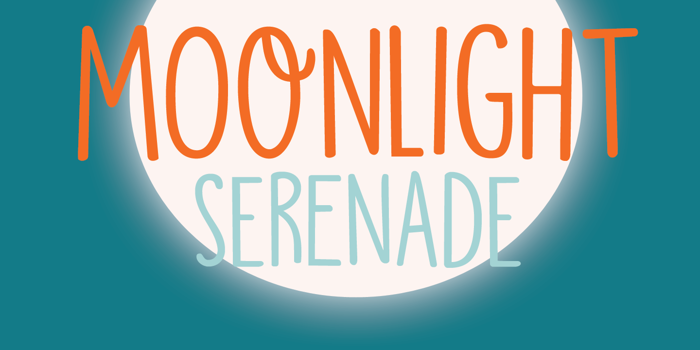DK Moonlight Serenade Font poster