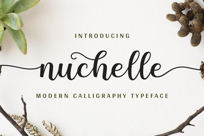 Nuchelle Font poster