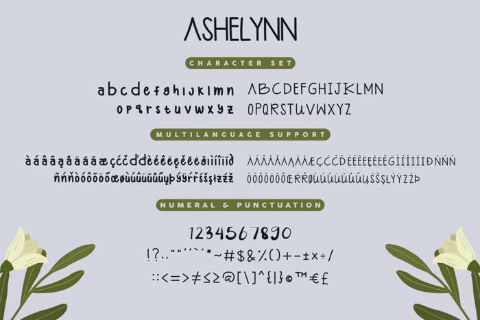 Ashelynn Sweet Demo Sans Font poster