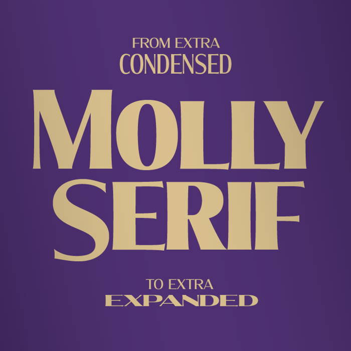 Molly Serif Expanded Font