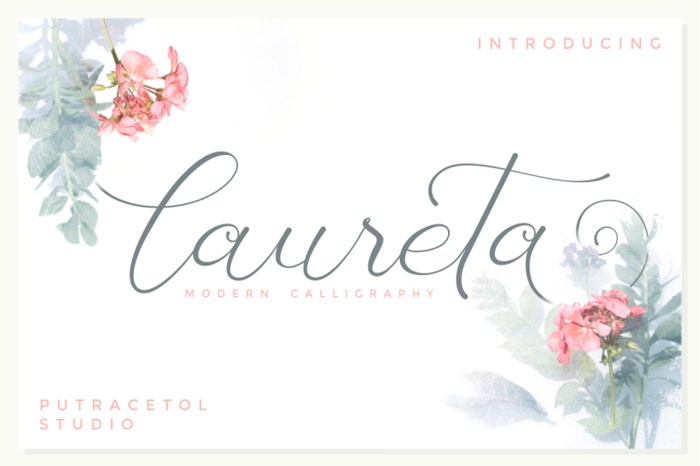 Laureta Font poster