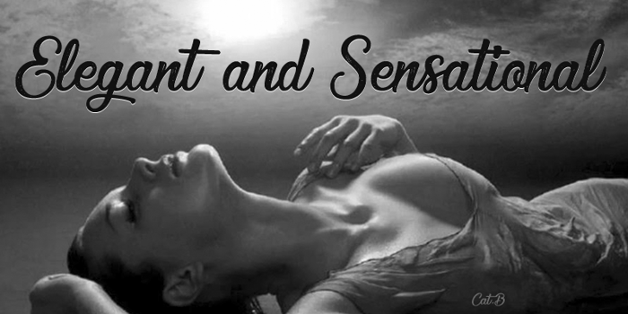 Elegant and Sensational Font poster