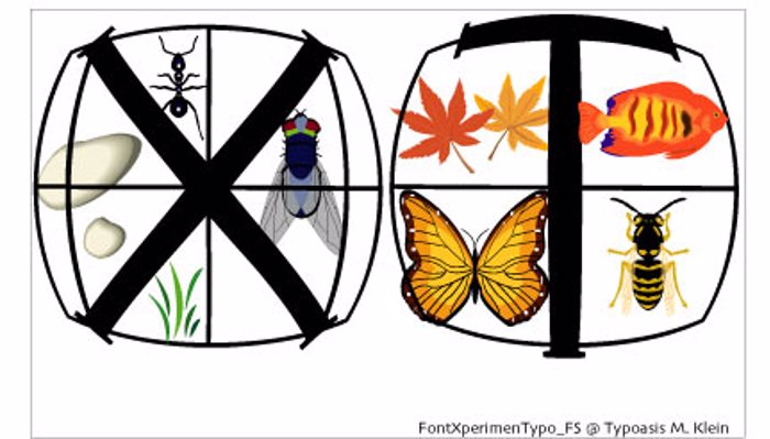 XperimentypoFS Font poster