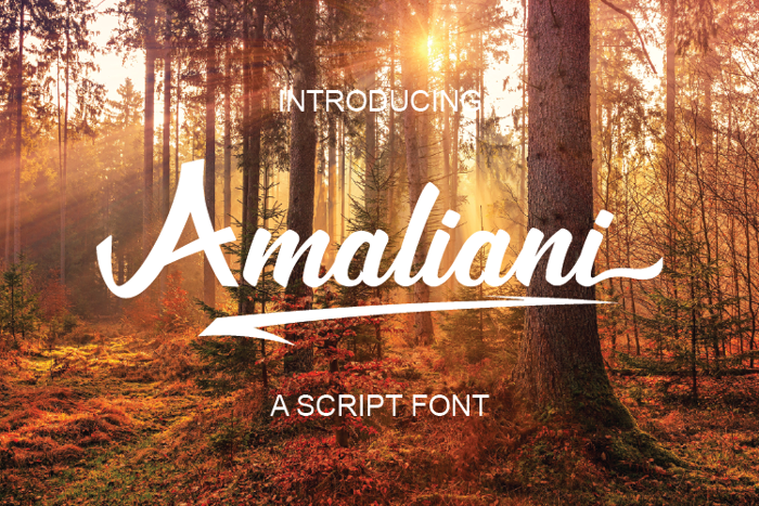 Amaliani Font poster