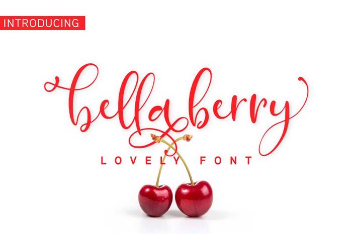 Bellaberry Font poster
