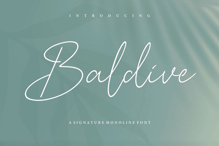 Baldive Font poster