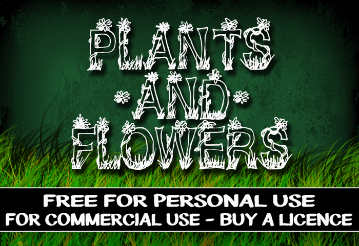 CF Plants and Flowers Font poster