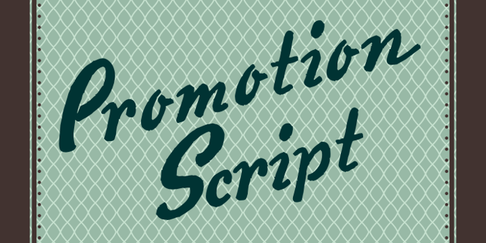 Promotion Script Font poster
