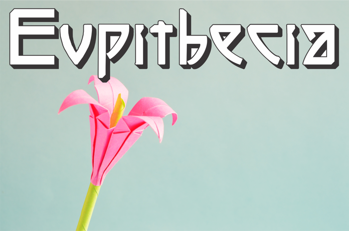 Eupithecia Font poster