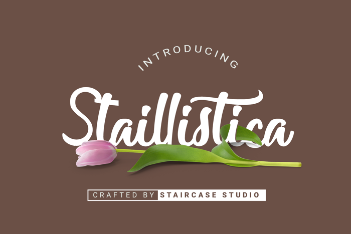 Staillistica Font poster