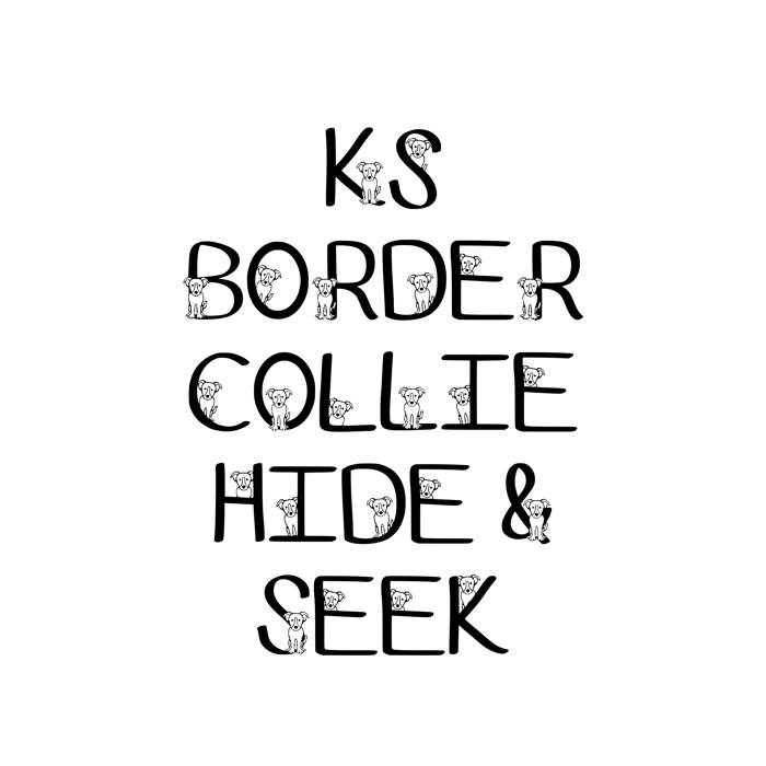 Ks Border Collie Font poster