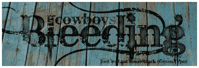 Bleeding Cowboys Font