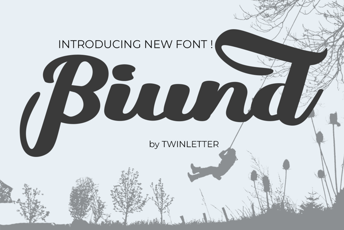 Biund Font poster