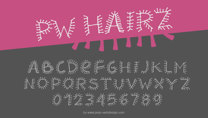 PWHairz Font poster
